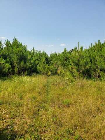 0 275th Avenue, Holcombe, WI 54745