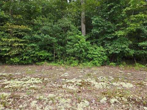 25.5AC Woodland Drive, Windsor, VA 23487