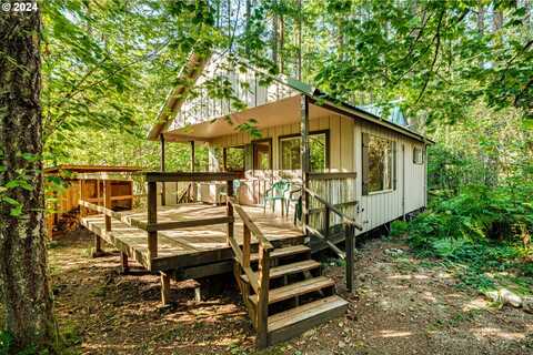 25 ANDREWS LN, Cougar, WA 98616
