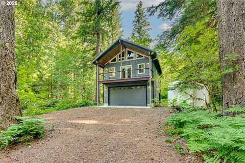 199 Northwoods Cabin, Cougar, WA 98616