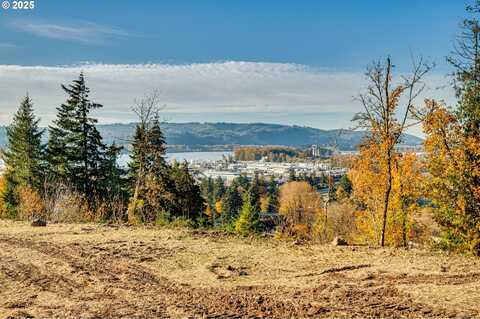 Spencer Creek RD, Kalama, WA 98625