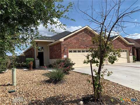 342 Creekside Curve, New Braunfels, TX 78130