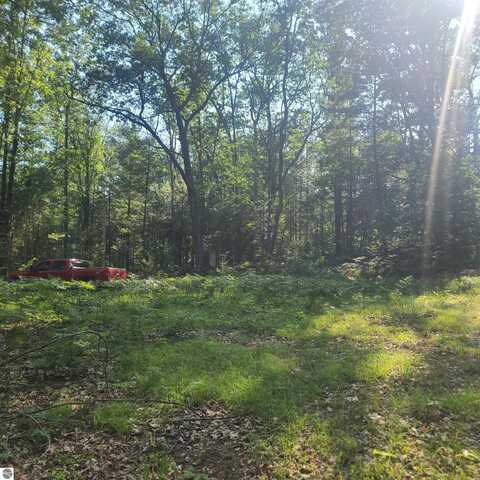 0000 NE Bailey Road, Kalkaska, MI 49646