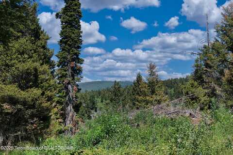 3642 SORENSEN CREEK PARCEL 1, Victor, ID 83455