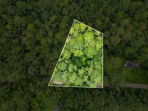 Red Gum Road, Tallahassee, FL 32304