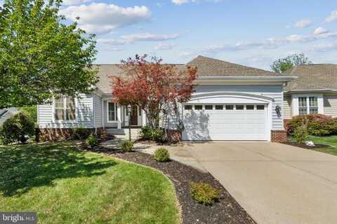 13882 CINCH LANE, GAINESVILLE, VA 20155