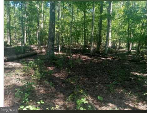 WICOMICO BEACH ROAD, NEWBURG, MD 20664