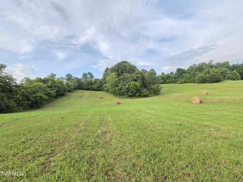 12.14 Ac. Mockingbird Place, Jonesborough, TN 37659
