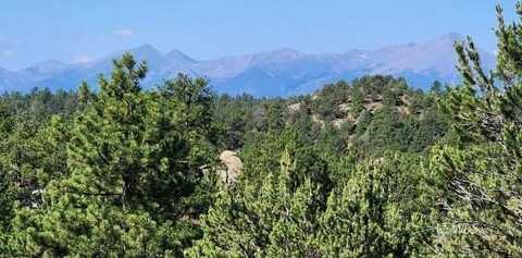 TBD L 43rd Trail, Cotopaxi, CO 81223