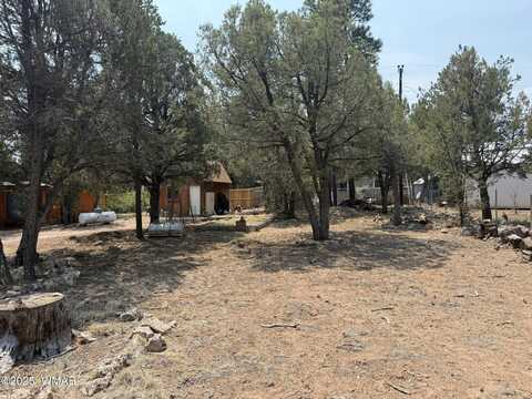 2181 Hashknife Drive, Overgaard, AZ 85933