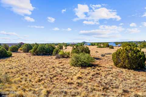 8487 Alpine Place, Show Low, AZ 85901