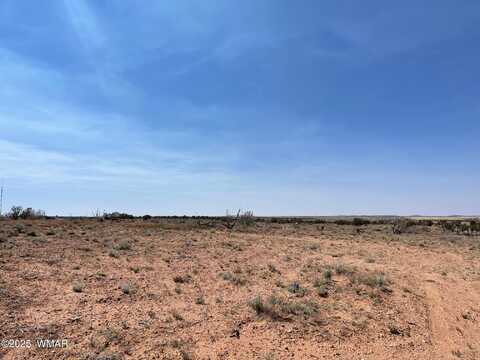 Parcel A HIghway 77, Snowflake, AZ 85937