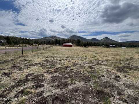 Tbd County Road N2276, Nutrioso, AZ 85932