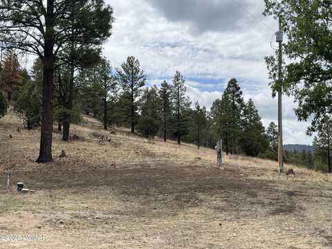 Tbd County Road N2276, Nutrioso, AZ 85932