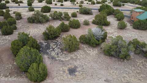 1927 Creekside Circle, Show Low, AZ 85901