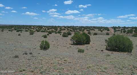 Tbd Ranch of the White Mountains, Concho, AZ 85924