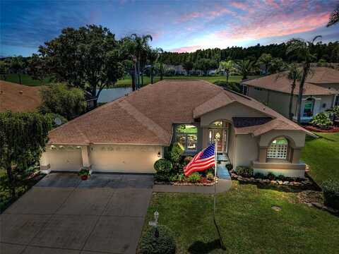 1132 RAMBLING VINE COURT, TRINITY, FL 34655