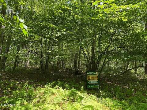 Lot 122 Ironmasters Section, Claysburg, PA 16625