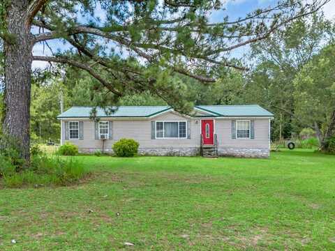 118 Cypress Springs Drive, Oakfield, GA 31772