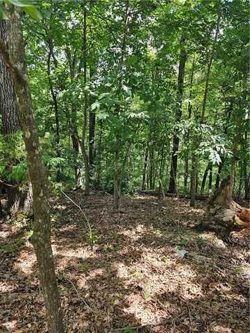 Blueberry LN, Lowell, AR 72745