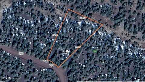 59 ACR 3189 --, Vernon, AZ 85940