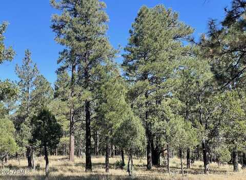 2634 SAN JUAN Drive, Happy Jack, AZ 86024