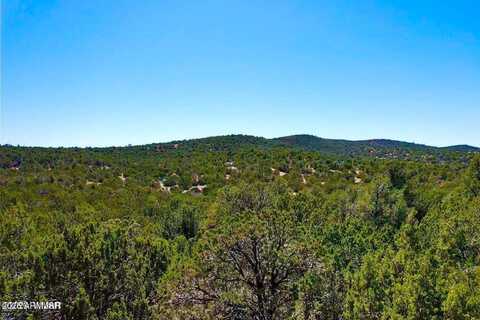 61 ACR 3189 --, Vernon, AZ 85940