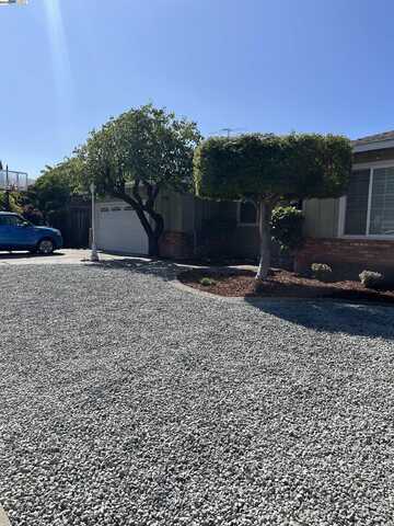 866 Olive Ave, Fremont, CA 94539