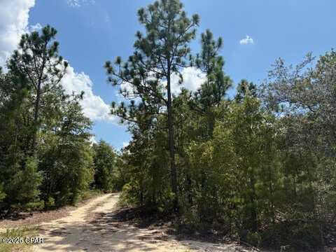 0 Pinellas Drive, Chipley, FL 32428