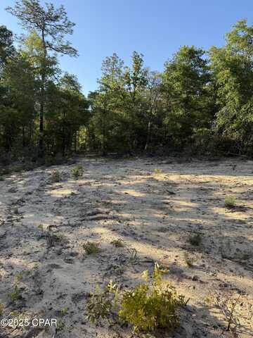 516 Goshun Creek Road, Chipley, FL 32428