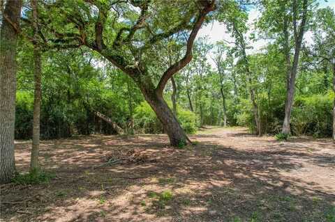 Tract 5 Jones Road, College Station, TX 77845