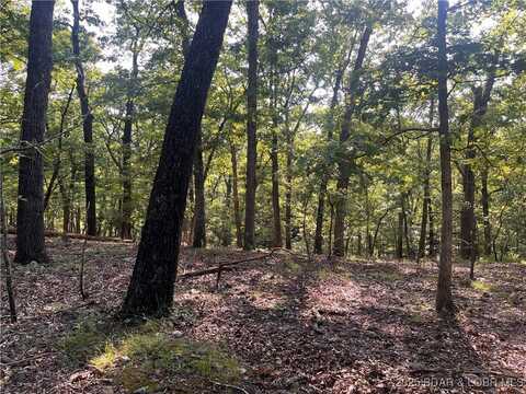 Tbd Flathead Road, Gravois Mills, MO 65037