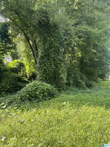 5300 SALINA AVENUE, BESSEMER, AL 35022