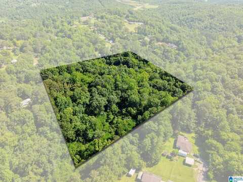 399 12TH AVENUE, GRAYSVILLE, AL 35073