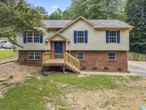 163 SUNRISE DRIVE, ODENVILLE, AL 35120
