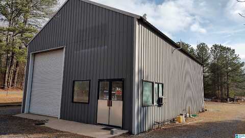 9615 MOUNT HIGH ROAD, WARRIOR, AL 35180