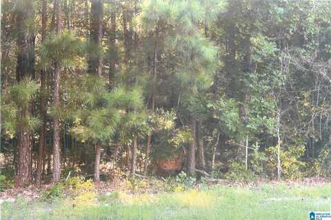 0 WATER OAK LANE, TALLADEGA, AL 35160