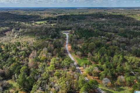4550 NEWBOLD ROAD, Mc Calla, AL 35022