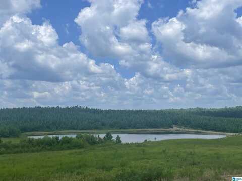 3679 CHELSEA ROAD, COLUMBIANA, AL 35051