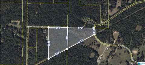 0 BANKS CREEK ROAD, WOODSTOCK, AL 35188