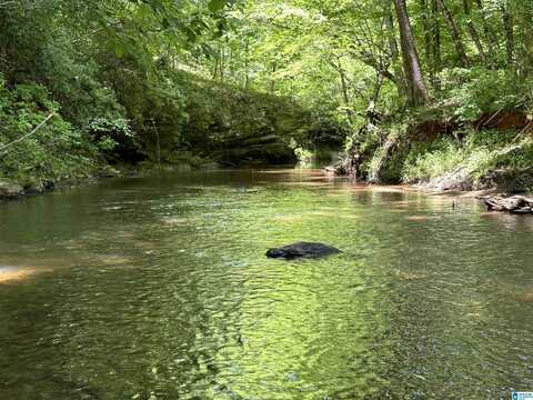 1165 COUNTY ROAD 874, WADLEY, AL 36276