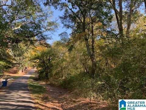 N BRASWELL STREET, SNEAD, AL 35952