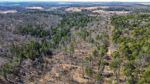 275A Campground Road, Wideman, AR 72585