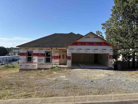 1950 Shadow Falls Drive, Conway, AR 72032