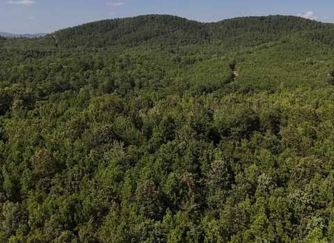 Lot 1 Polk Road 78, Mena, AR 71953