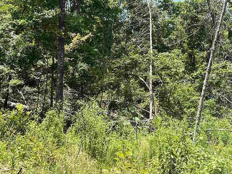 000 Foxfield Road, Mammoth Spring, AR 72554