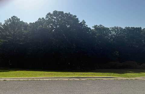 35-B Johnwood, Jonesboro, AR 72404