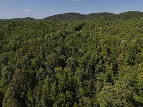 Lot 4 Polk Road 78, Mena, AR 71953