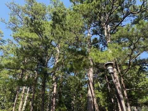 54 Alava Way, Hot Springs Village, AR 71909