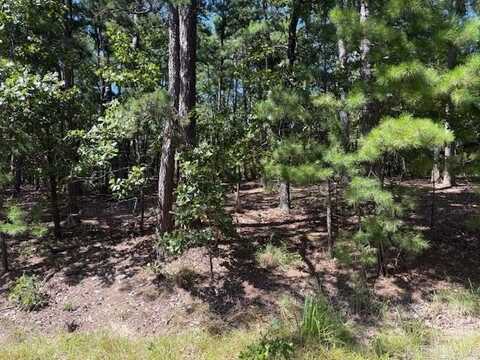 3 Bajista Lane, Hot Springs Village, AR 71909
